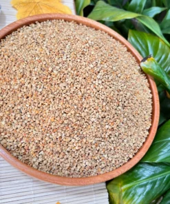 15e5bacc_4ab8_4ce8_a60b_f8f346fa2a81 Sscc