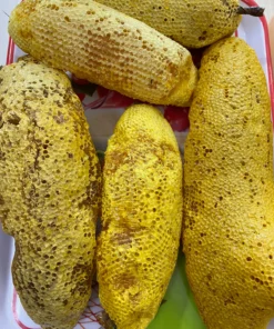 Z4133883890330_fb82573989085d21a0c308d61e44f69d